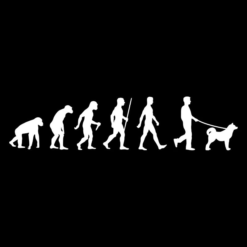 Akita Inu Evolution chien japonais