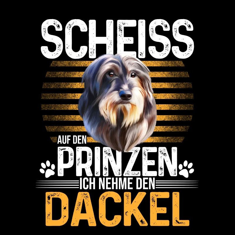 Dackel Dachshund Rauhaardackel