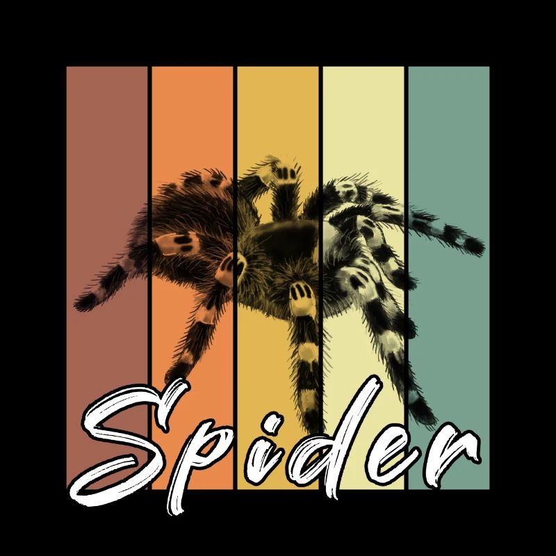 Spinne