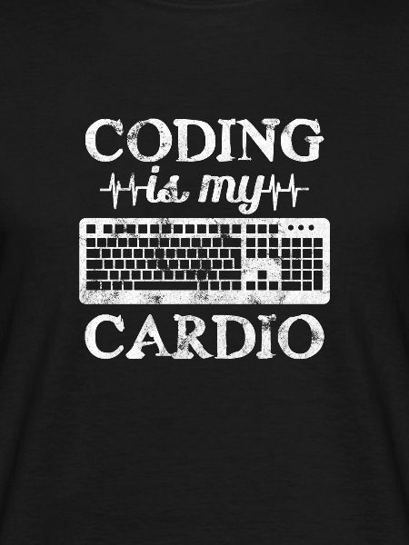 Software developer
