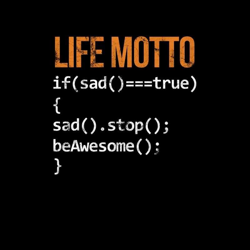 Software developer
