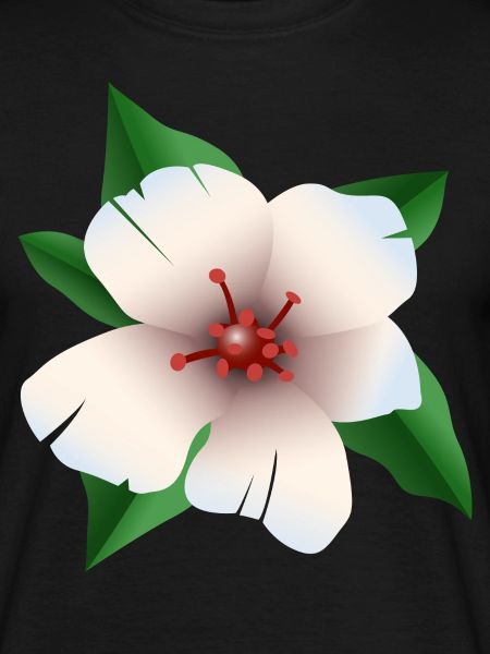 Hibiscus - Fleur d’hibiscus
