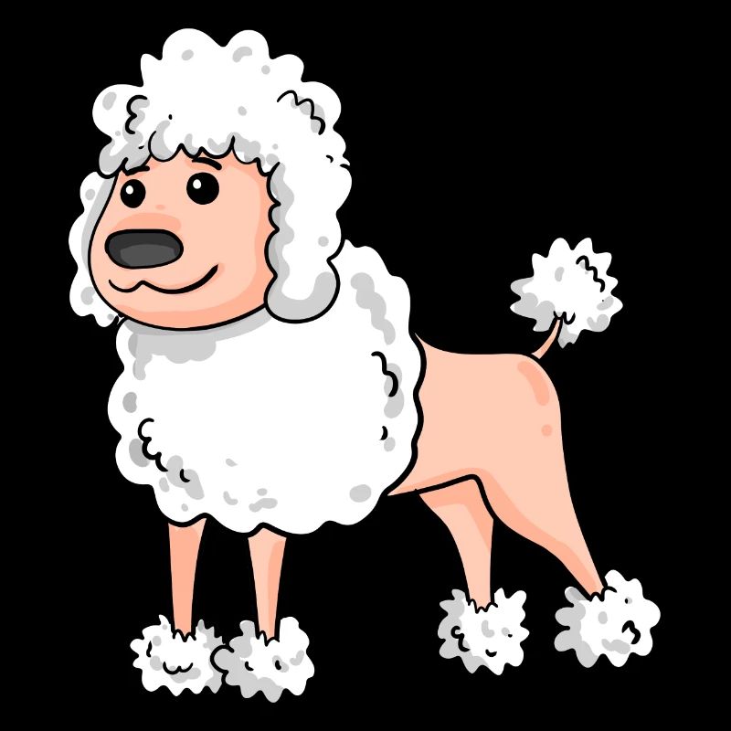 Poodle White Dog Breed