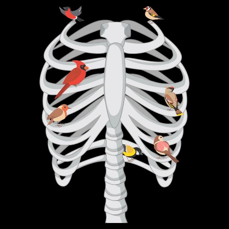 Skeleton rib cage birds