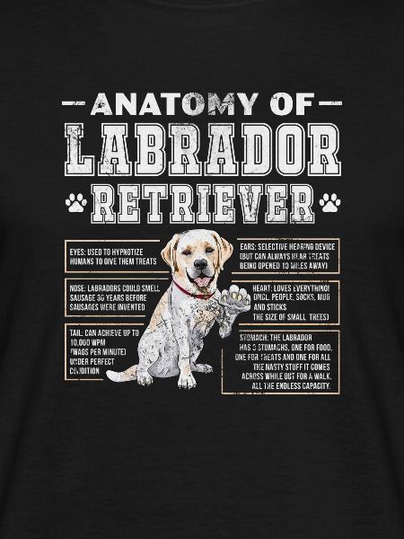 Labrador