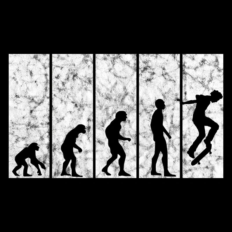 Evolution Skateboarder Skateboard Skater Skate