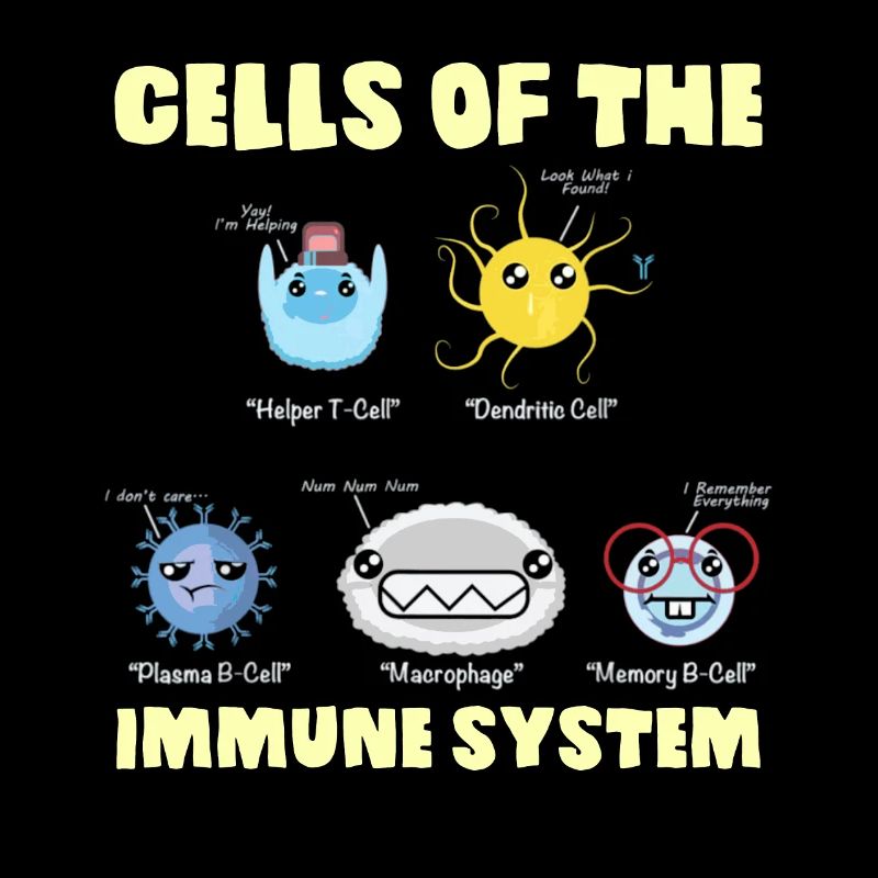 Immune System Cells Biology Cell Science
