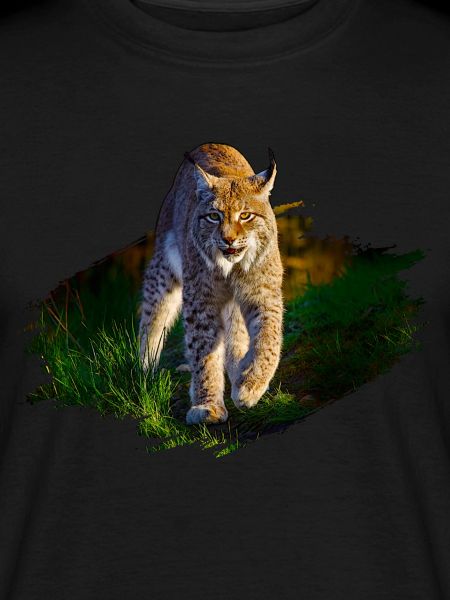 Luchs