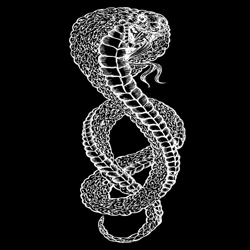 Cadeau de serpent