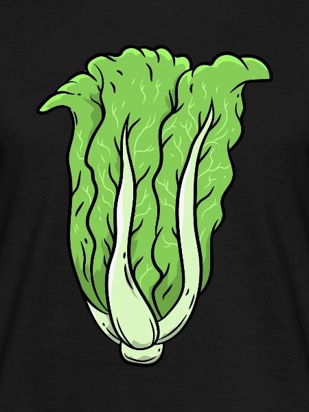 Cabbage Vegetables