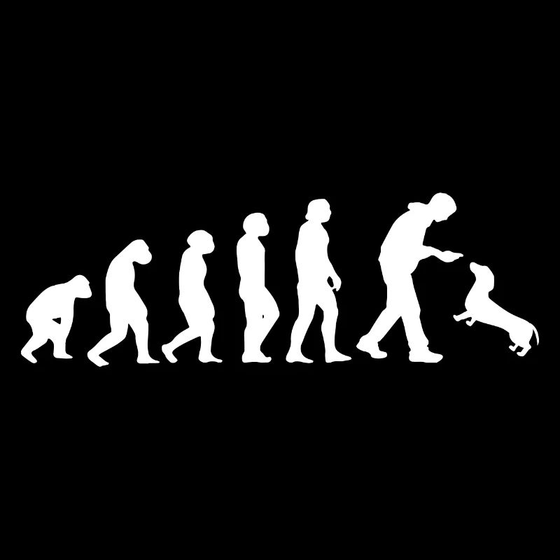 Evolution Dog Animal Dachs Dackel Hund
