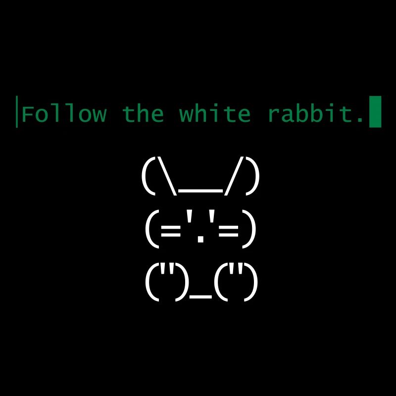 Matrix follow the white rabbit