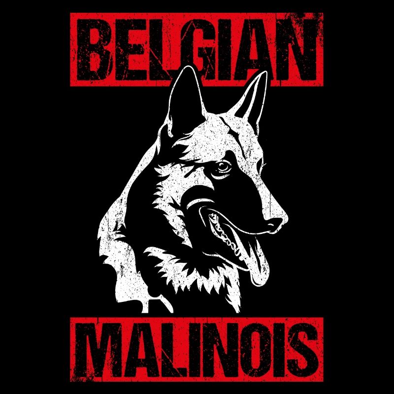 Belgian Malinois Hunde
