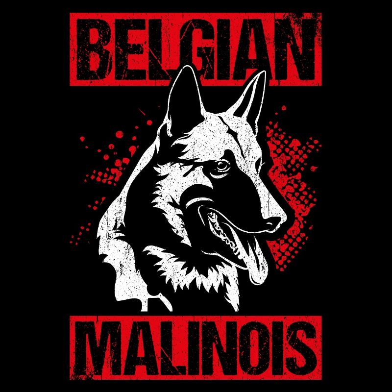 Belgian Malinois Hunde