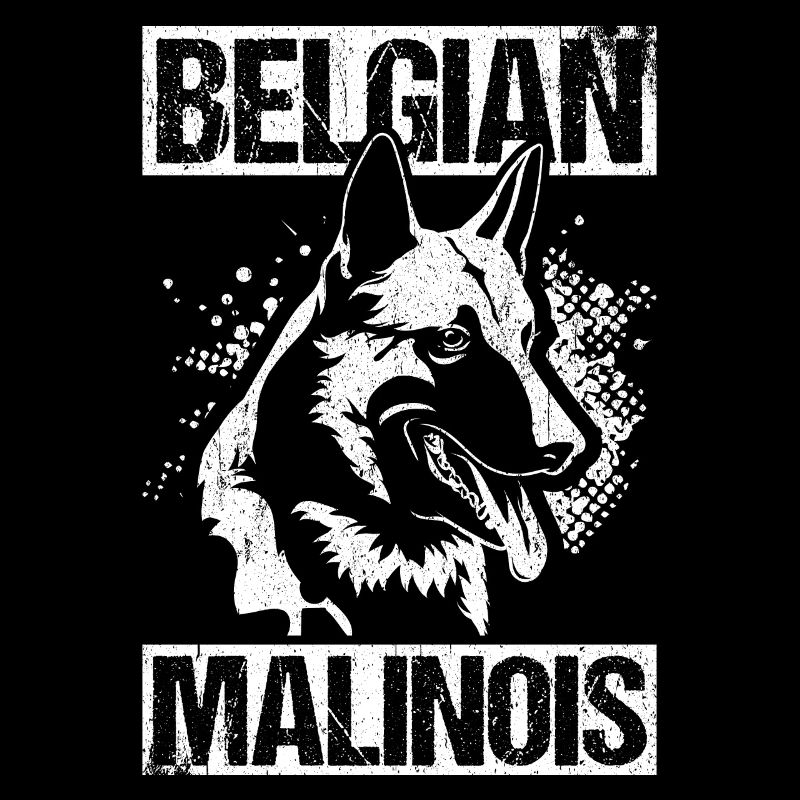 Belgian Malinois Hunde