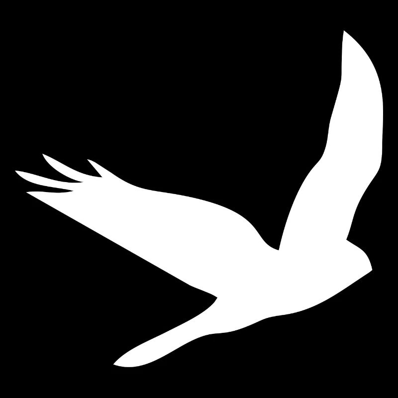 Oiseau Oiseau Oiseau Oiseaux
