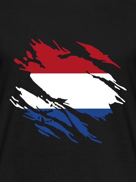 Netherlands Flag