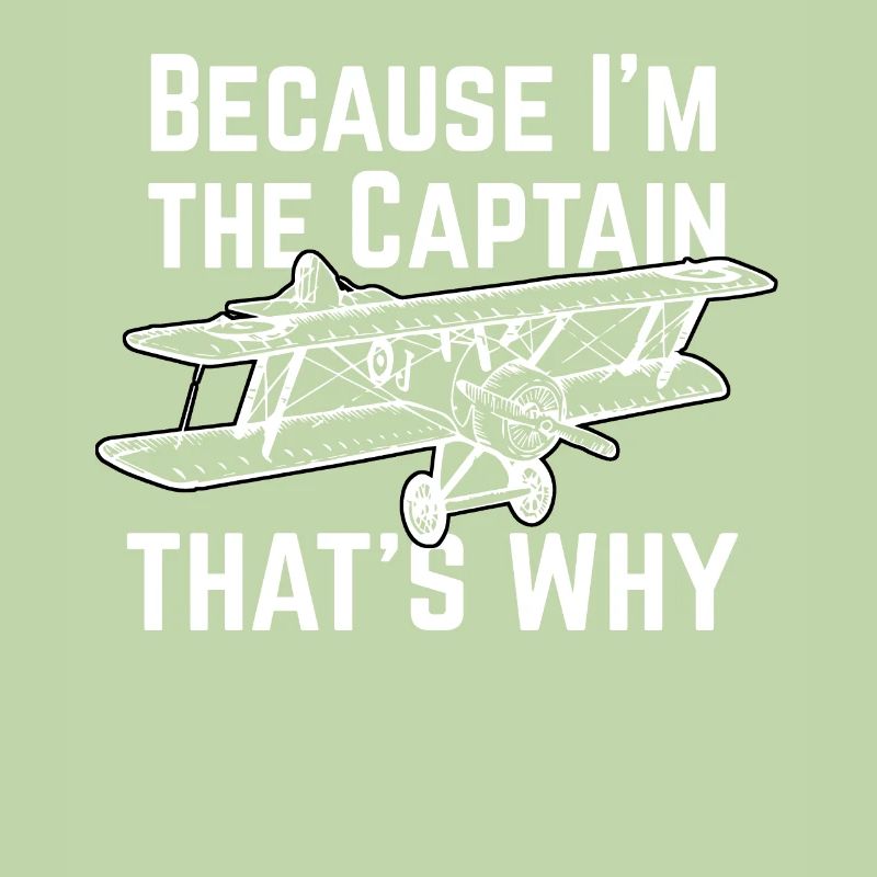 Pilot plane gift
