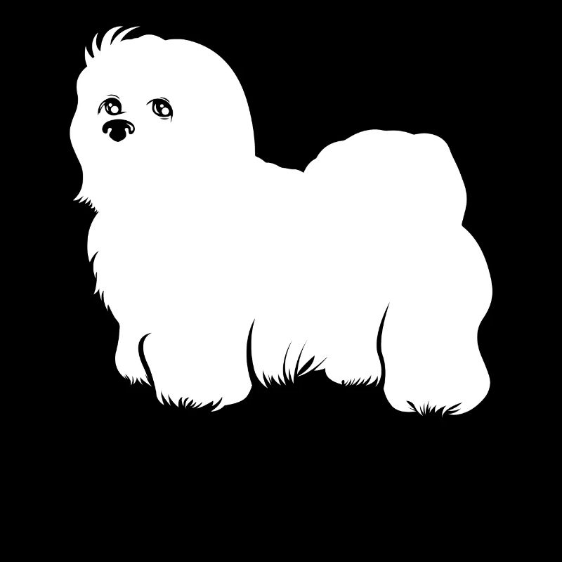 Coton de Tulear