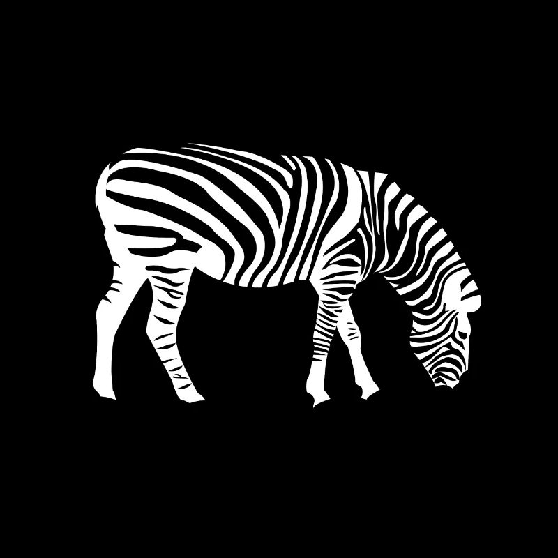 zèbre