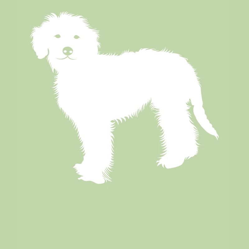 Goldendoodle