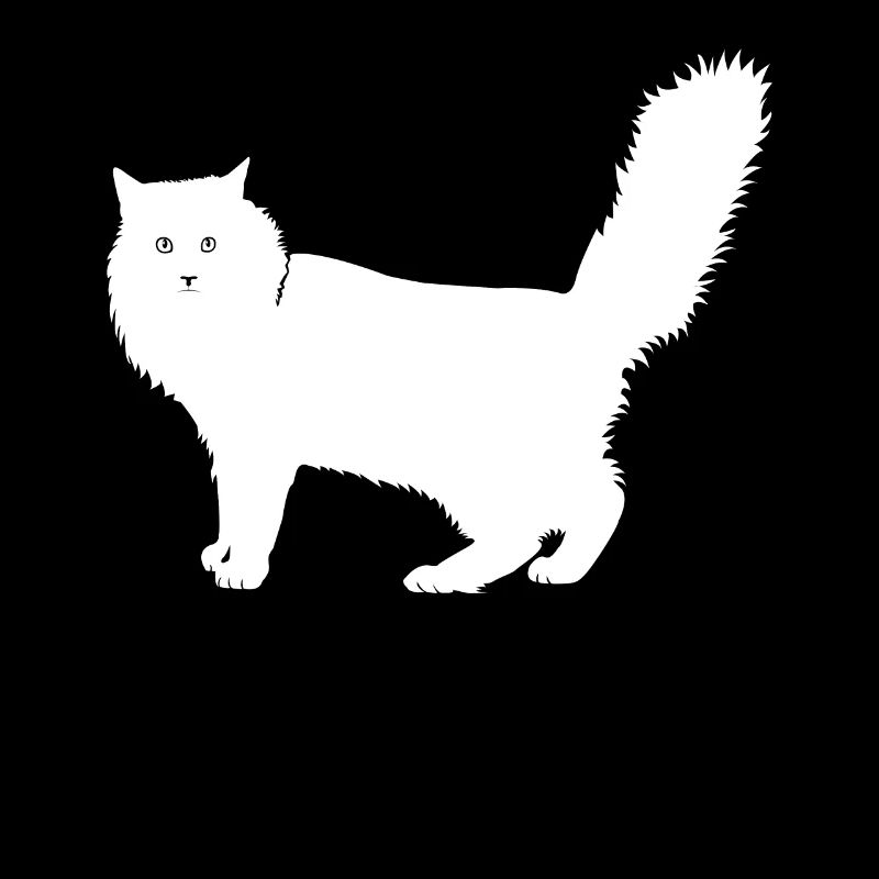 Chat des forêts norvégiennes