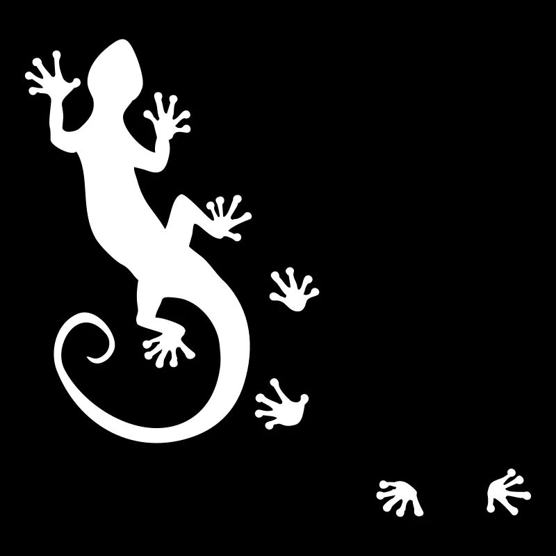 gecko allant