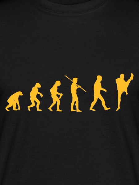 Martial Arts Evolution