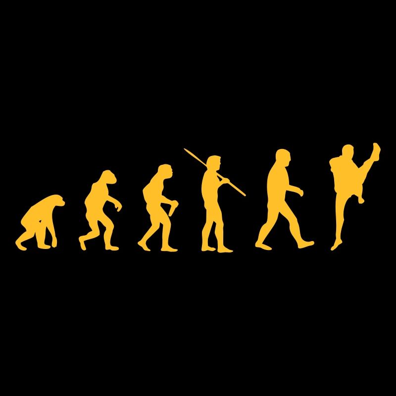 Arts Martiaux Evolution