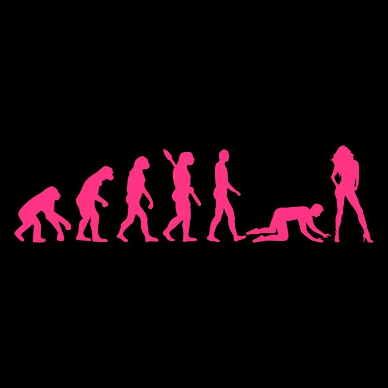 Evolution Ehe
