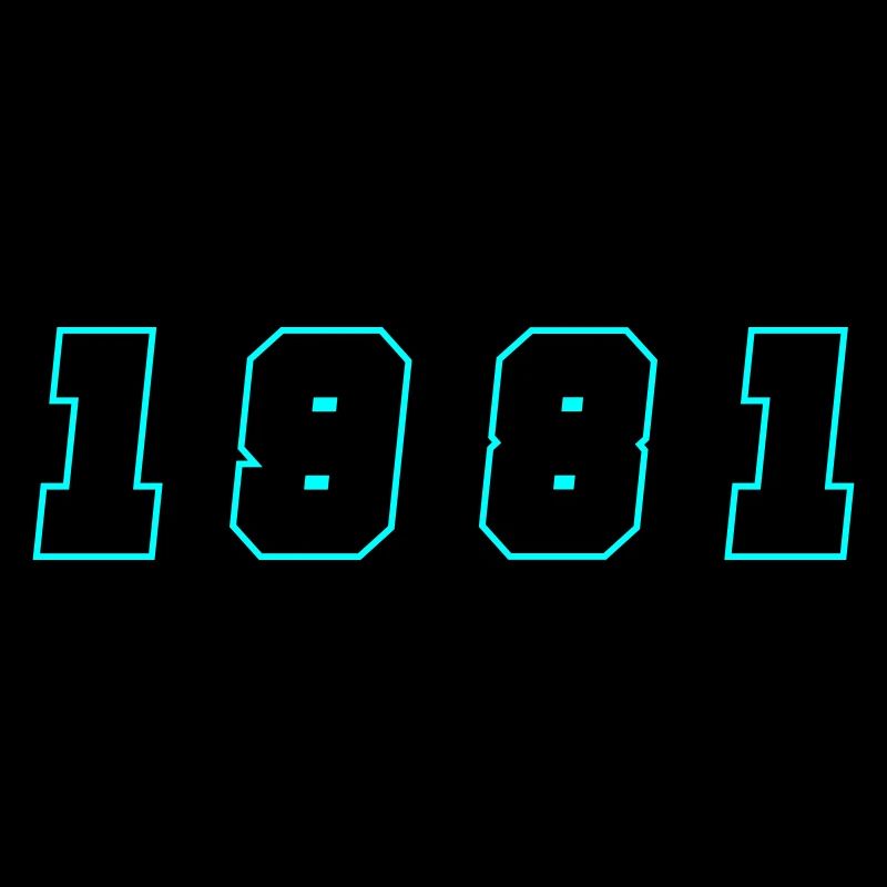 1981 Year Number