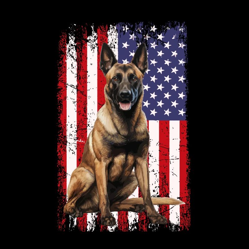 Belgian Malinois