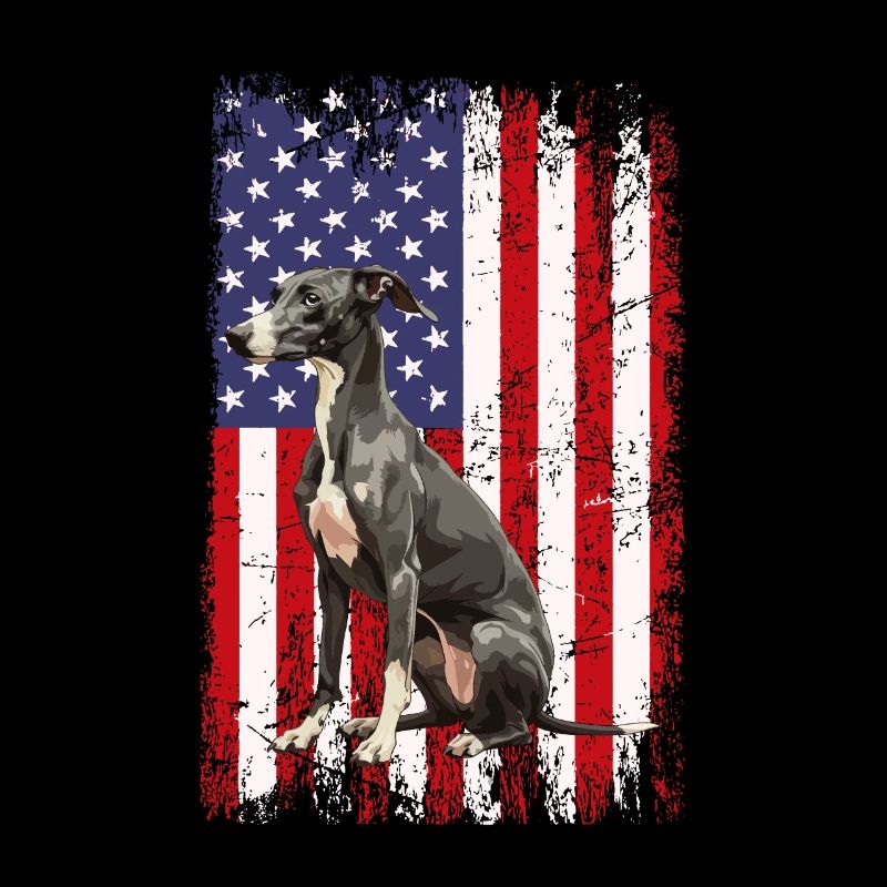 whippet chien drapeau américain
