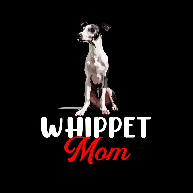 whippet dog
