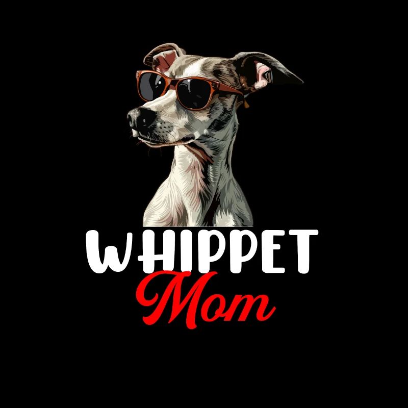 whippet dog