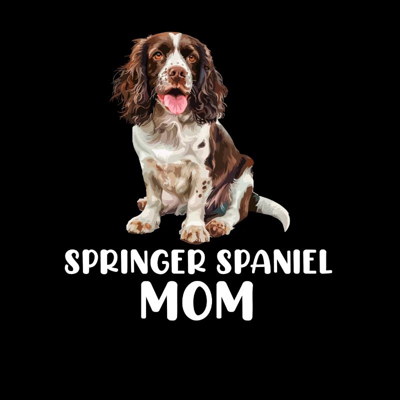 Épagneul springer