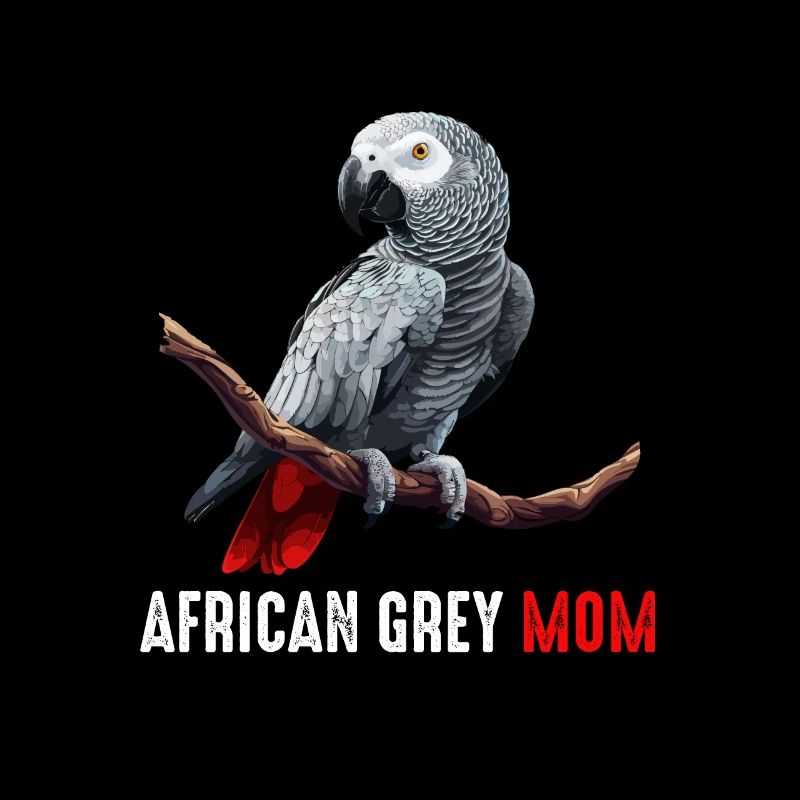 african grey parrot