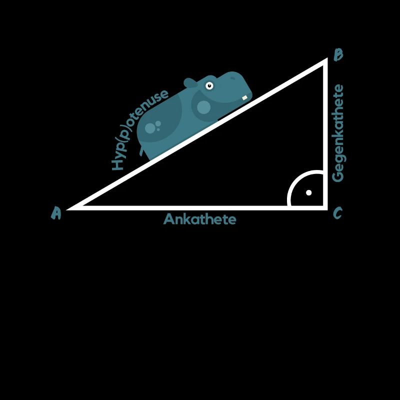 Pythagoras Hypotenuse Mathe Shirt Geschenk