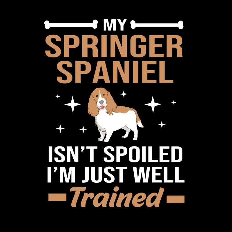 Épagneul springer