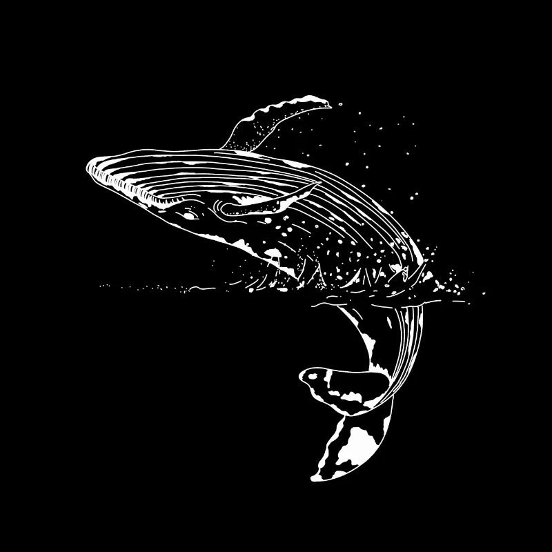 Blue whale Cetacea