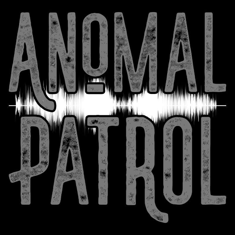Professional Ghost Hunter Funny Anomal Patrol Gift