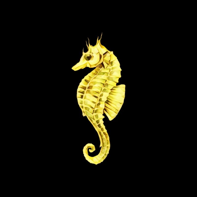Seepferdchen