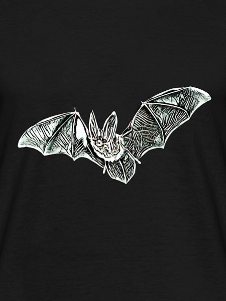 bat