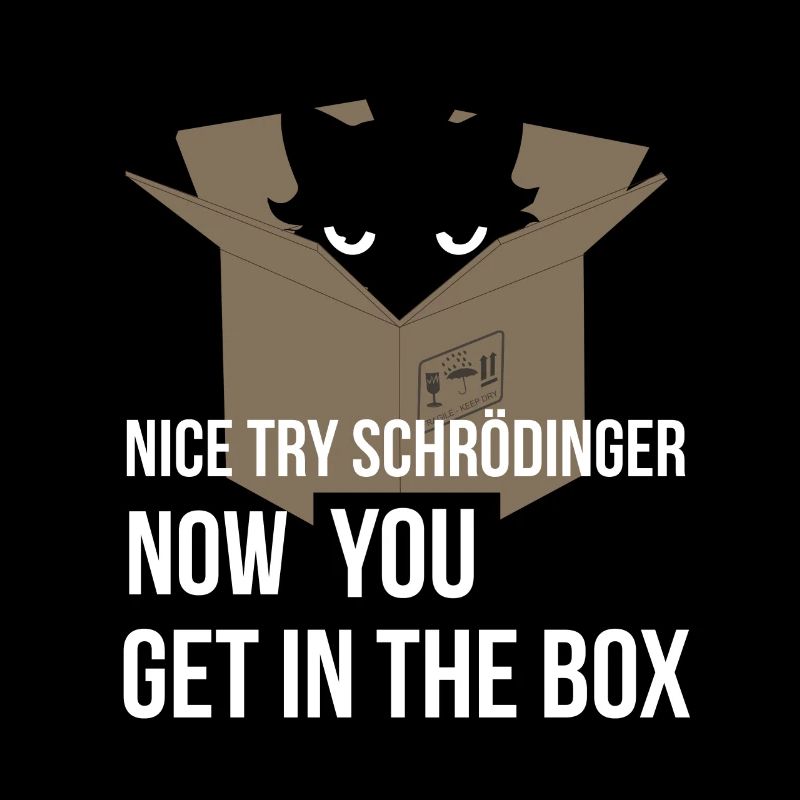 Le chat de Schrödinger - Physique de la mécanique quantique