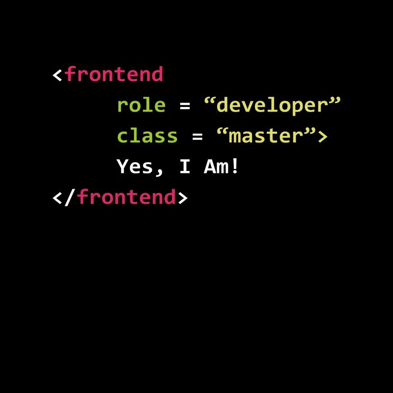 Frontend Developer Funny Gift Coder Programmer