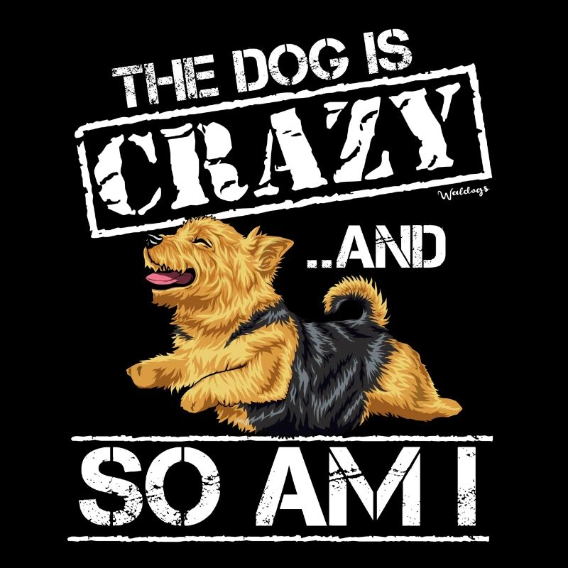 Norwich Terrier Crazy