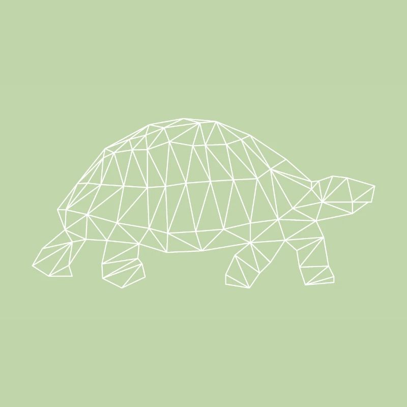 tortue ringard géométrique