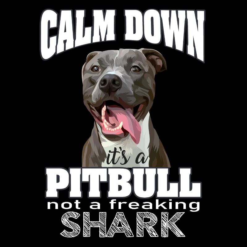 pitbull not a shark