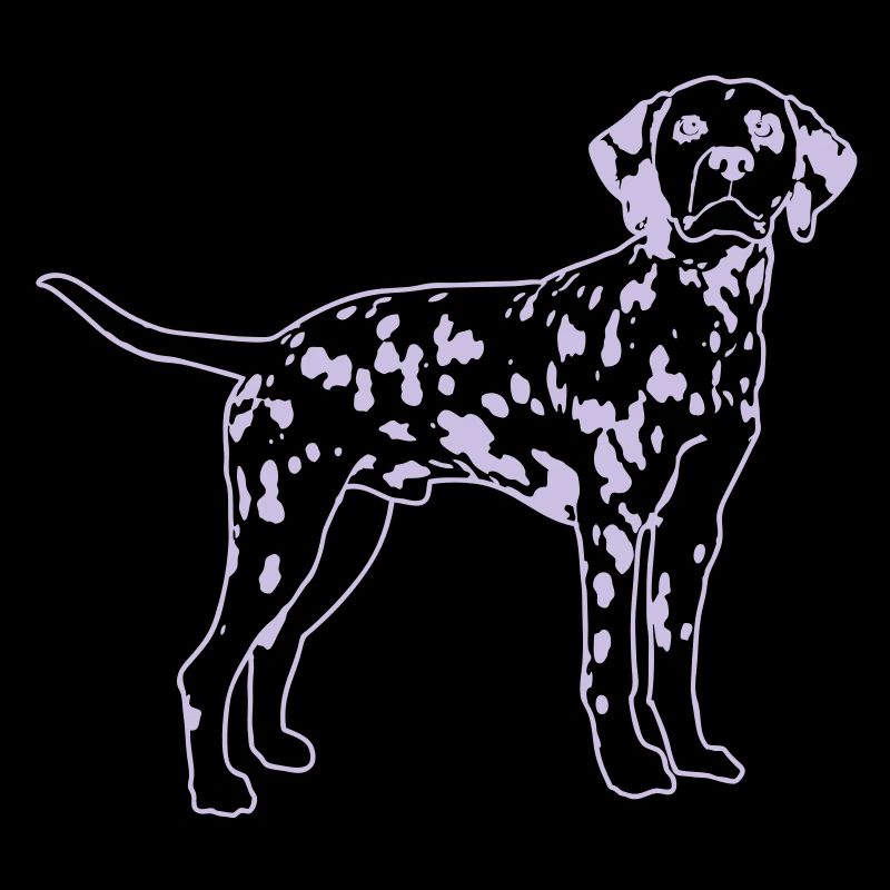 Dalmatian de
