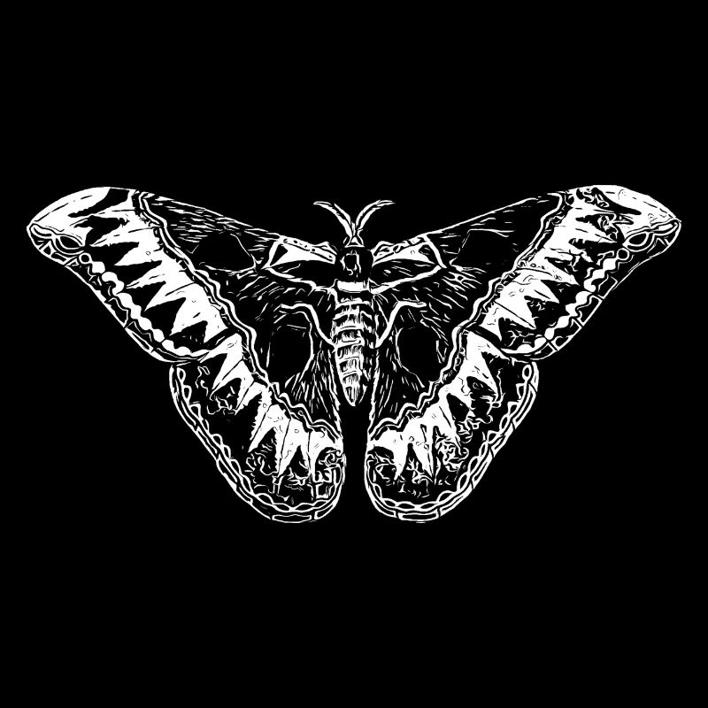 Beautiful butterfly